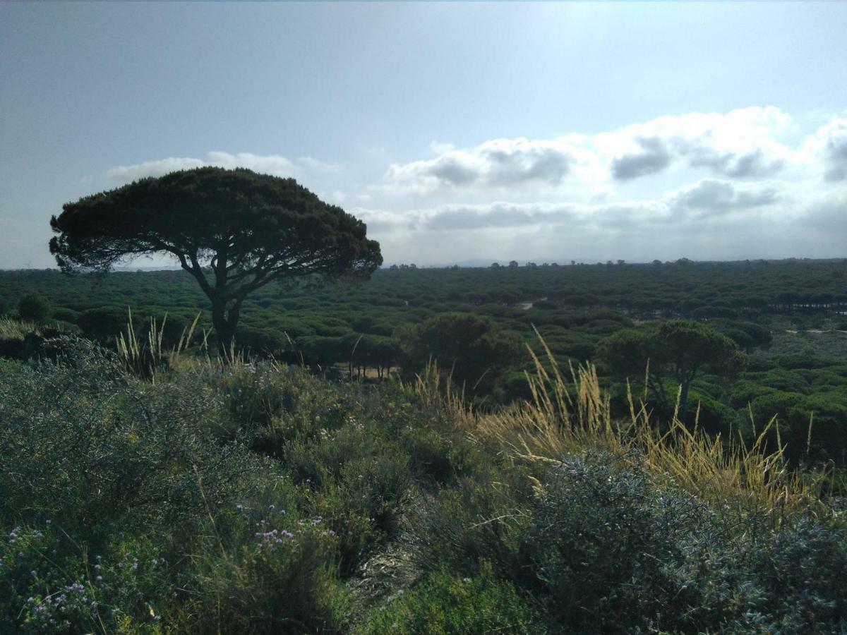 Vila Alojamiento Dos Bahias Chiclana de la Frontera Exteriér fotografie